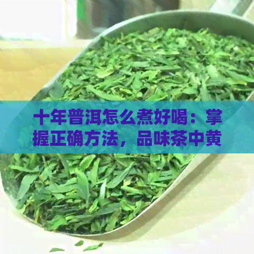 十年普洱怎么煮好喝：掌握正确方法，品味茶中黄金岁月