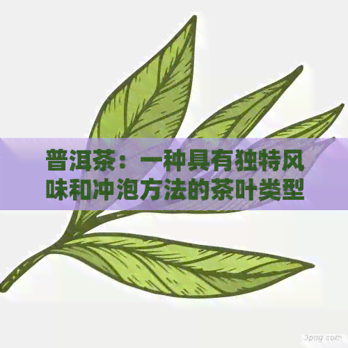 普洱茶：一种具有独特风味和冲泡方法的茶叶类型及其种类详解