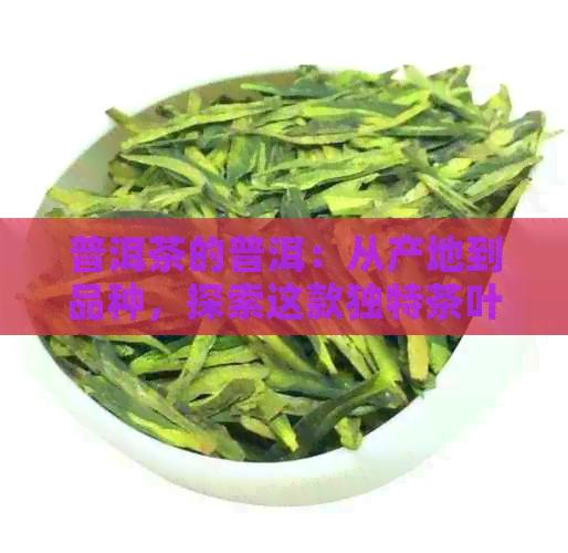 普洱茶的普洱：从产地到品种，探索这款独特茶叶的各个方面