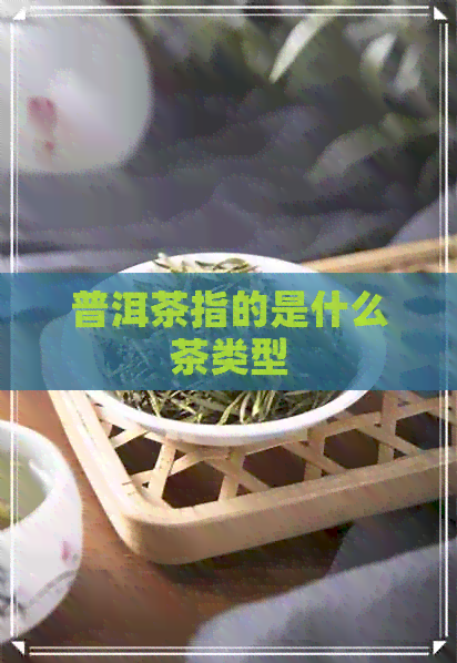 普洱茶指的是什么茶类型