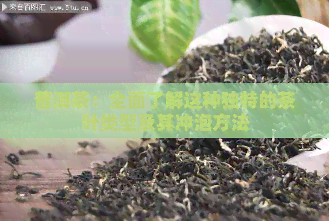 普洱茶：全面了解这种独特的茶叶类型及其冲泡方法