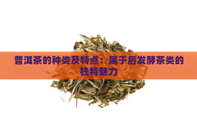 普洱茶的种类及特点：属于后发酵茶类的独特魅力