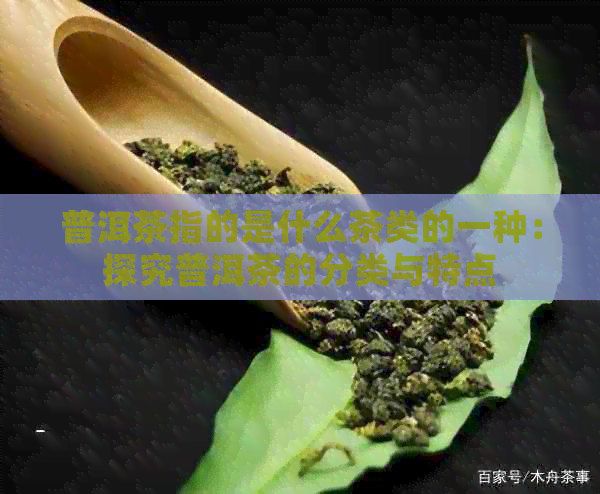 普洱茶指的是什么茶类的一种：探究普洱茶的分类与特点