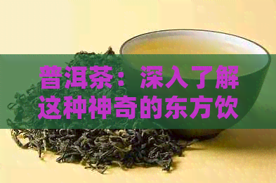 普洱茶：深入了解这种神奇的东方饮品