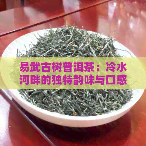 易武古树普洱茶：冷水河畔的独特韵味与口感探秘