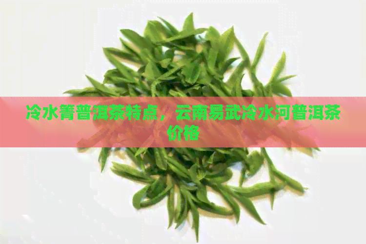 冷水箐普洱茶特点，云南易武冷水河普洱茶价格