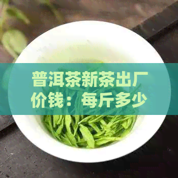 普洱茶新茶出厂价钱：每斤多少钱？