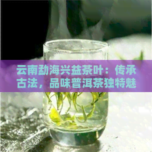 云南勐海兴益茶叶：传承古法，品味普洱茶独特魅力