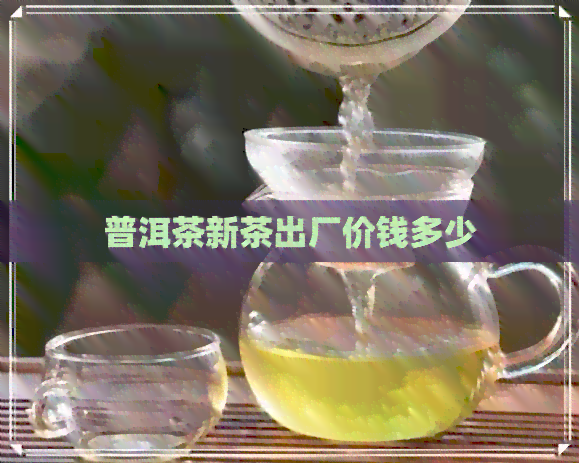 普洱茶新茶出厂价钱多少