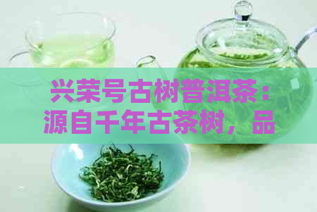兴荣号古树普洱茶：源自千年古茶树，品味越工艺