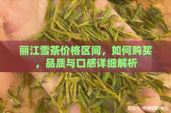 丽江雪茶价格区间，如何购买，品质与口感详细解析