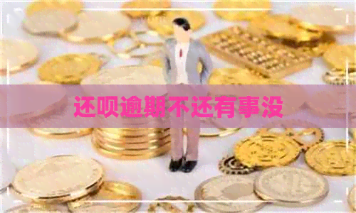 还呗逾期不还有事没