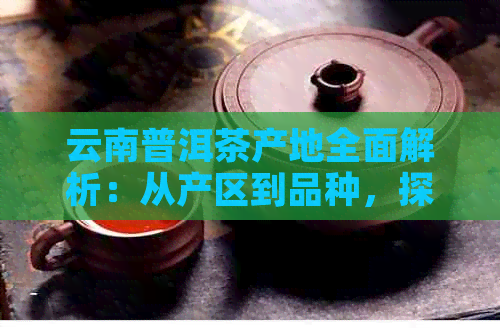 云南普洱茶产地全面解析：从产区到品种，探索云南普洱茶的魅力与区别