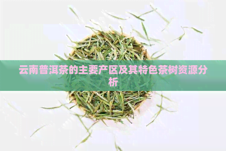 云南普洱茶的主要产区及其特色茶树资源分析