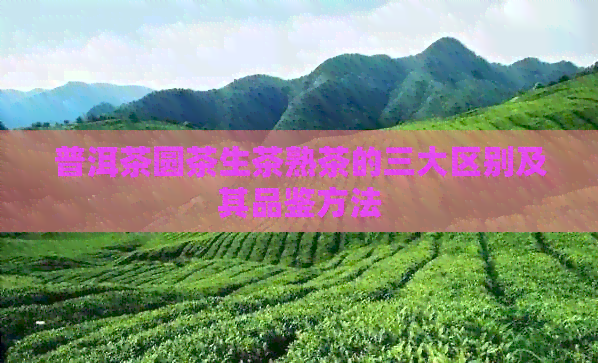 普洱茶圆茶生茶熟茶的三大区别及其品鉴方法