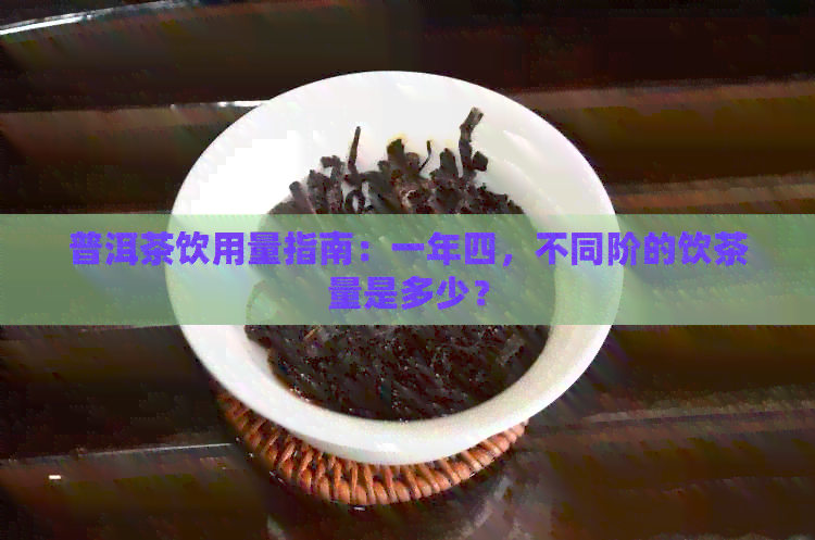 普洱茶饮用量指南：一年四，不同阶的饮茶量是多少？