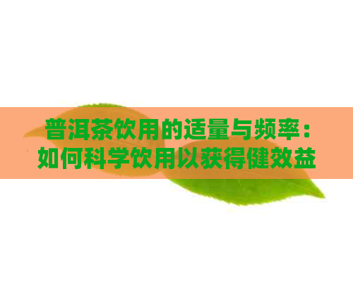 普洱茶饮用的适量与频率：如何科学饮用以获得健效益