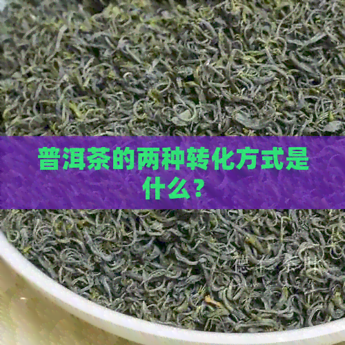 普洱茶的两种转化方式是什么？