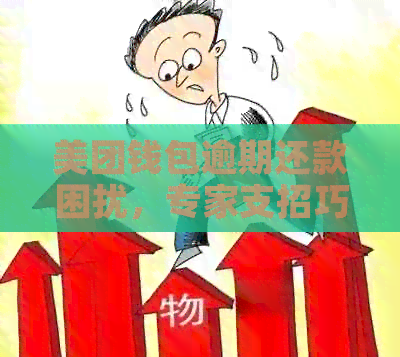 美团钱包逾期还款困扰，专家支招巧妙解决