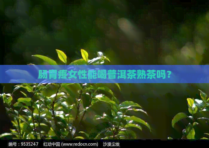 肠胃疼女性能喝普洱茶熟茶吗？