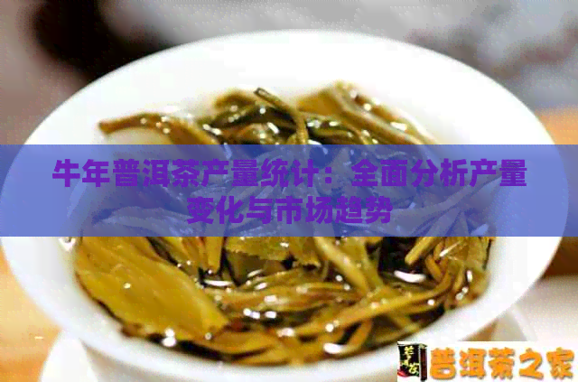 牛年普洱茶产量统计：全面分析产量变化与市场趋势