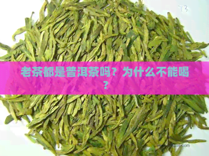 老茶都是普洱茶吗？为什么不能喝？