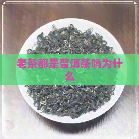 老茶都是普洱茶吗为什么