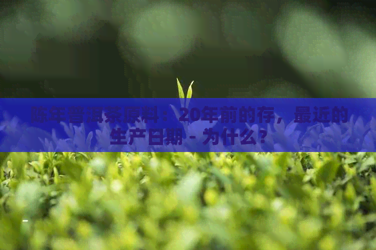 陈年普洱茶原料：20年前的存，最近的生产日期 - 为什么？