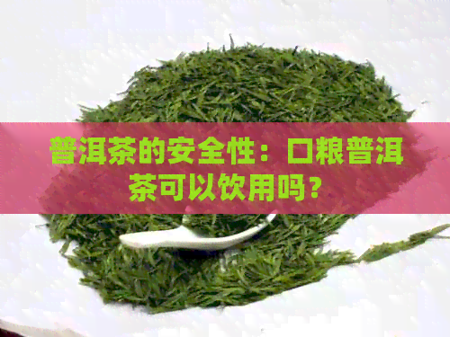 普洱茶的安全性：口粮普洱茶可以饮用吗？