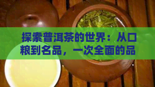  探索普洱茶的世界：从口粮到名品，一次全面的品鉴之旅