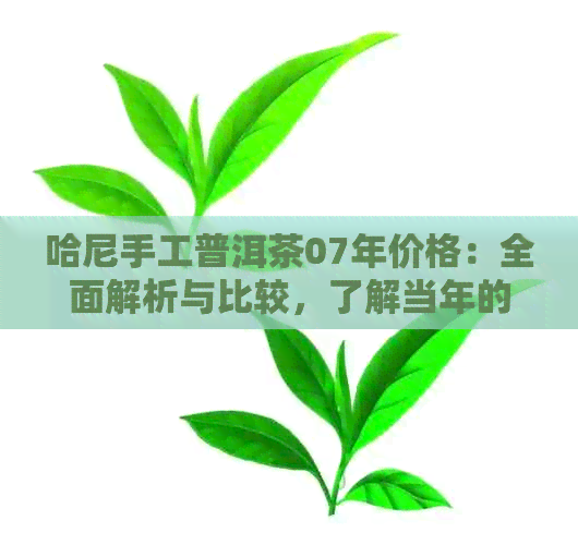 哈尼手工普洱茶07年价格：全面解析与比较，了解当年的市场行情和品质特点