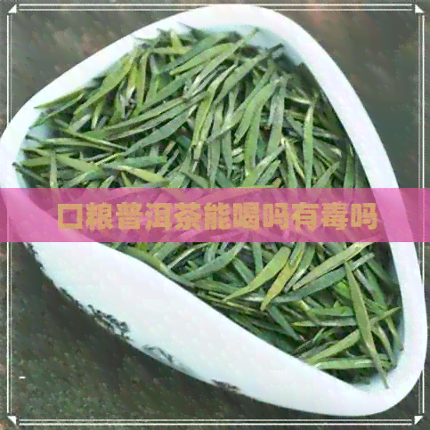 口粮普洱茶能喝吗有吗