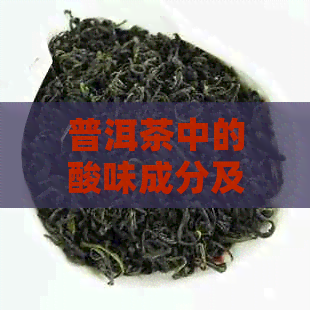 普洱茶中的酸味成分及其对口感和健的影响：全面解析与比较