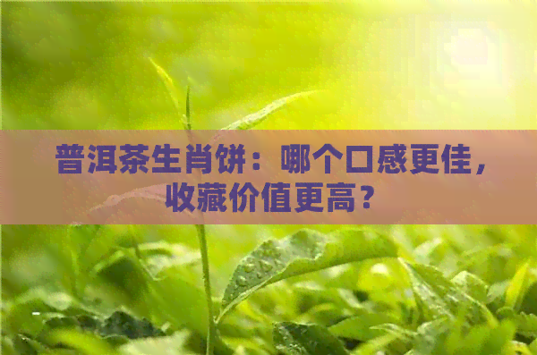 普洱茶生肖饼：哪个口感更佳，收藏价值更高？