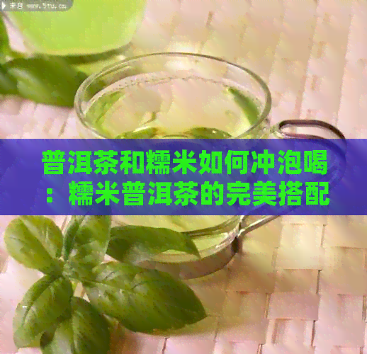 普洱茶和糯米如何冲泡喝：糯米普洱茶的完美搭配