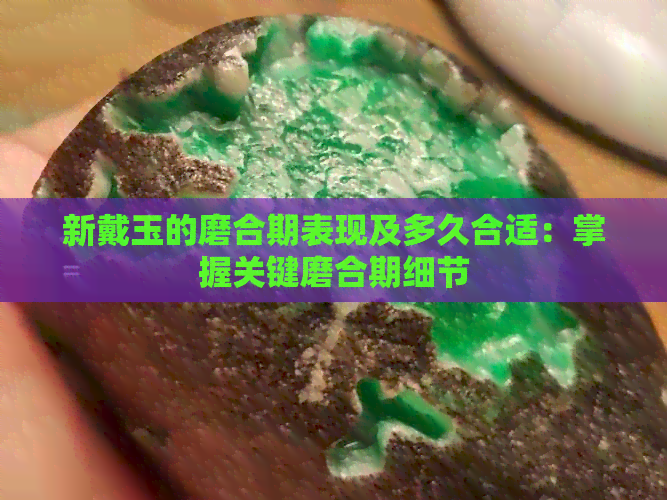 新戴玉的磨合期表现及多久合适：掌握关键磨合期细节