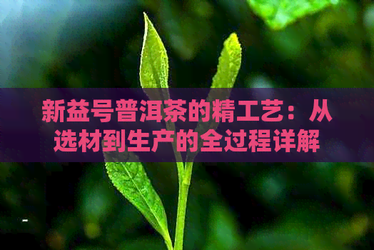 新益号普洱茶的精工艺：从选材到生产的全过程详解