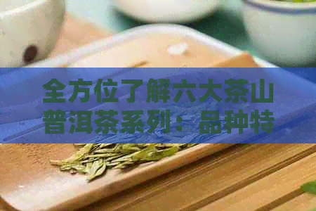 全方位了解六大茶山普洱茶系列：品种特点、制作工艺与品饮方法一应俱全