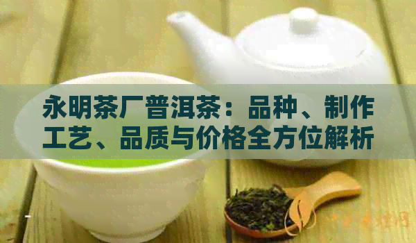 永明茶厂普洱茶：品种、制作工艺、品质与价格全方位解析