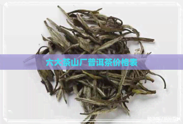 六大茶山厂普洱茶价格表