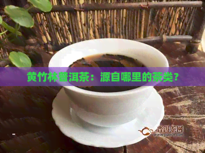 黄竹林普洱茶：源自哪里的茶类？