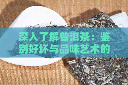 深入了解普洱茶：鉴别好坏与品味艺术的全方位指南