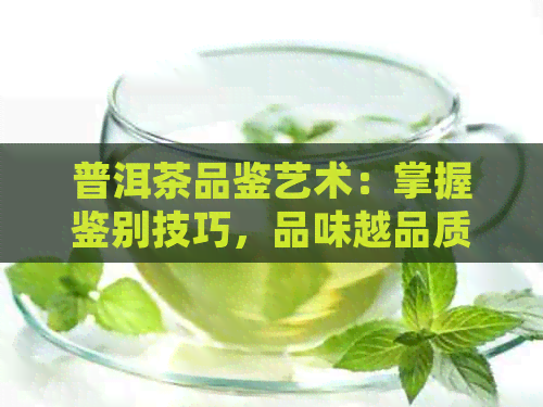 普洱茶品鉴艺术：掌握鉴别技巧，品味越品质