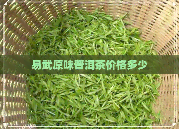 易武原味普洱茶价格多少