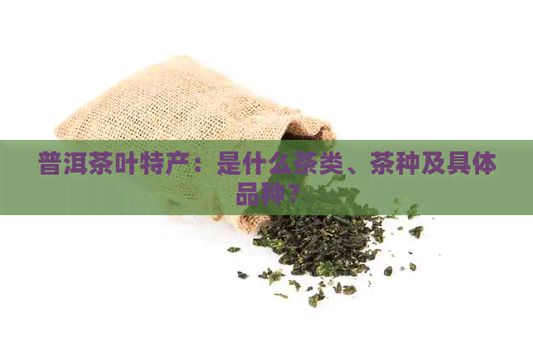 普洱茶叶特产：是什么茶类、茶种及具体品种？