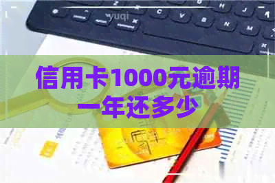 信用卡1000元逾期一年还多少