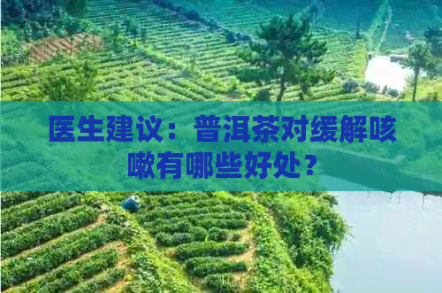 医生建议：普洱茶对缓解咳嗽有哪些好处？