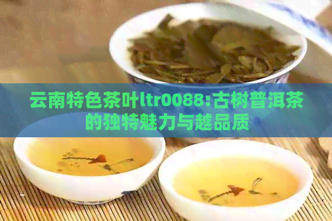 云南特色茶叶ltr0088:古树普洱茶的独特魅力与越品质