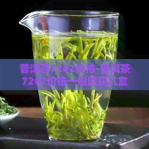 普洱茶7262价格-普洱茶7262价格一般能买几盒