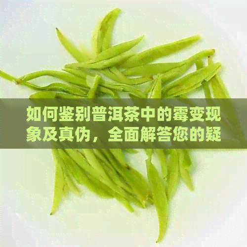 如何鉴别普洱茶中的霉变现象及真伪，全面解答您的疑问